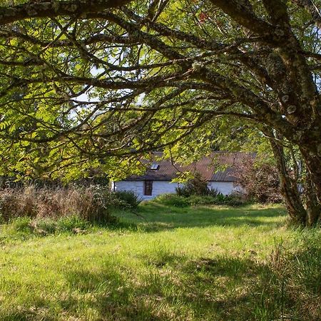 Half Of 12 Camustianavaig Villa Camastianavaig ภายนอก รูปภาพ